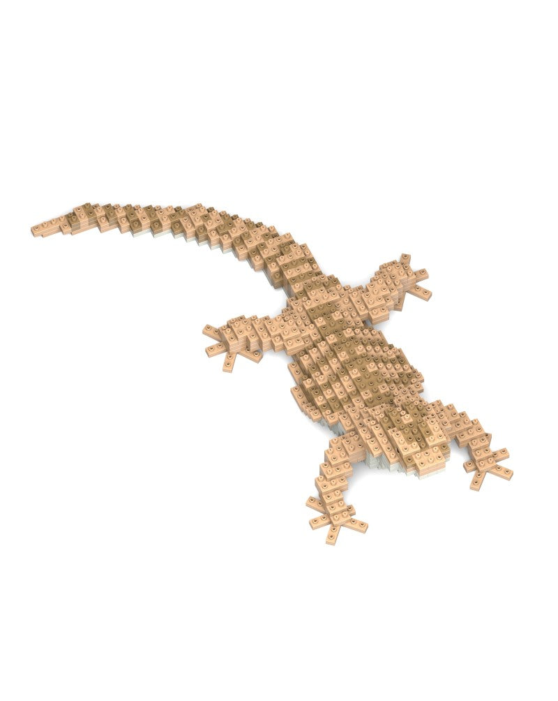 Jekca - Bearded Dragon - Small (01S) - Good Games