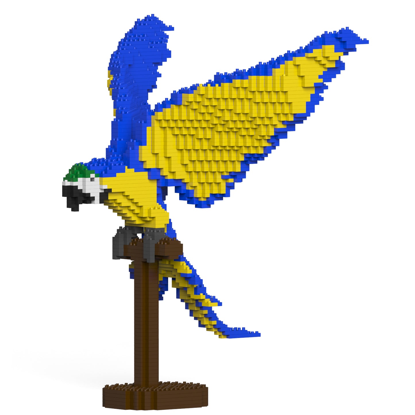 Jekca - Blue-and-Gold Macaw - Small (02S) - Good Games