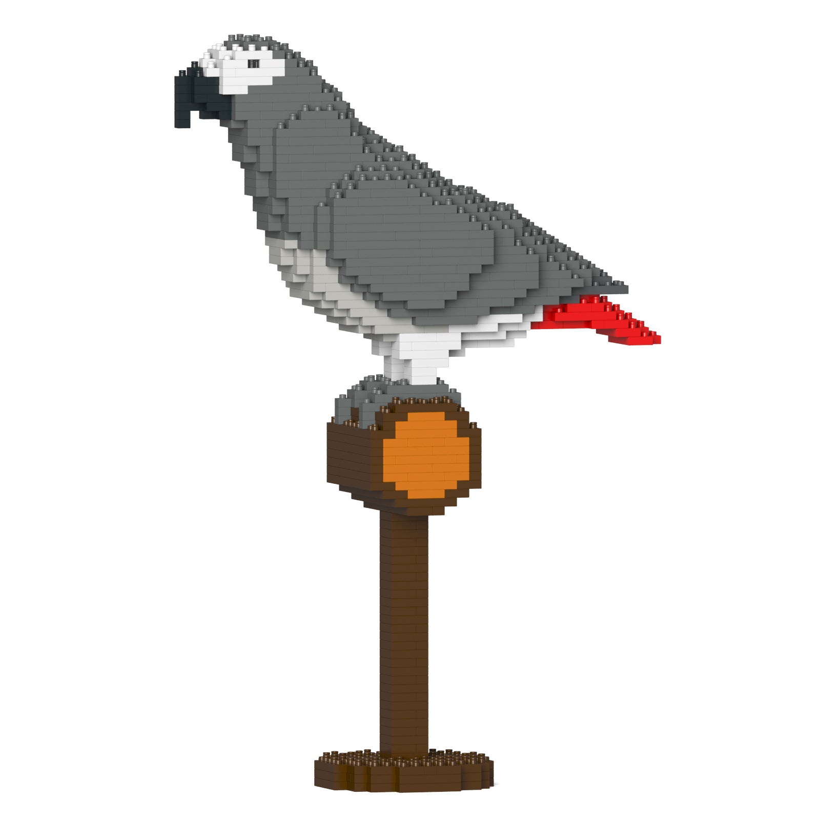 Jekca - African Grey - Small (01S) - Good Games