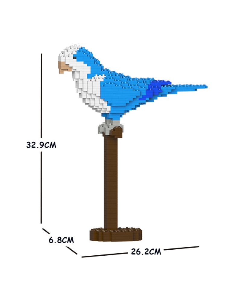 Jekca - Quaker Parrot - Small (01S-M02) - Good Games