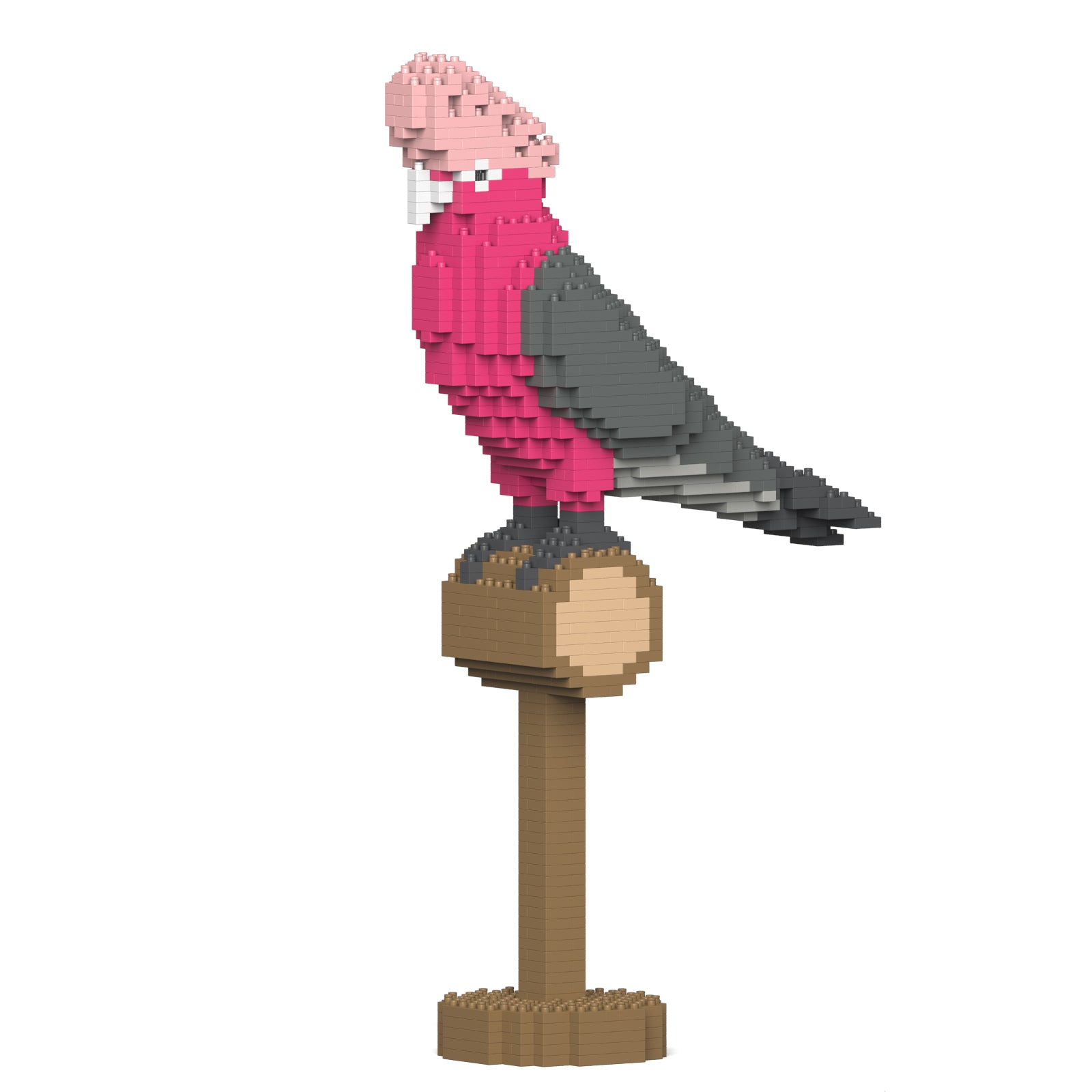 Jekca - Galah - Small (01S) - Good Games