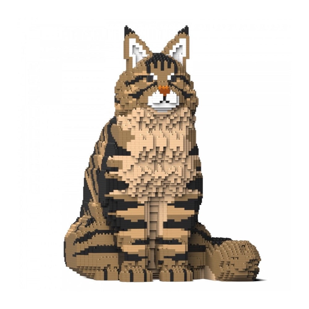 Jekca - Maine Coon 01SM03