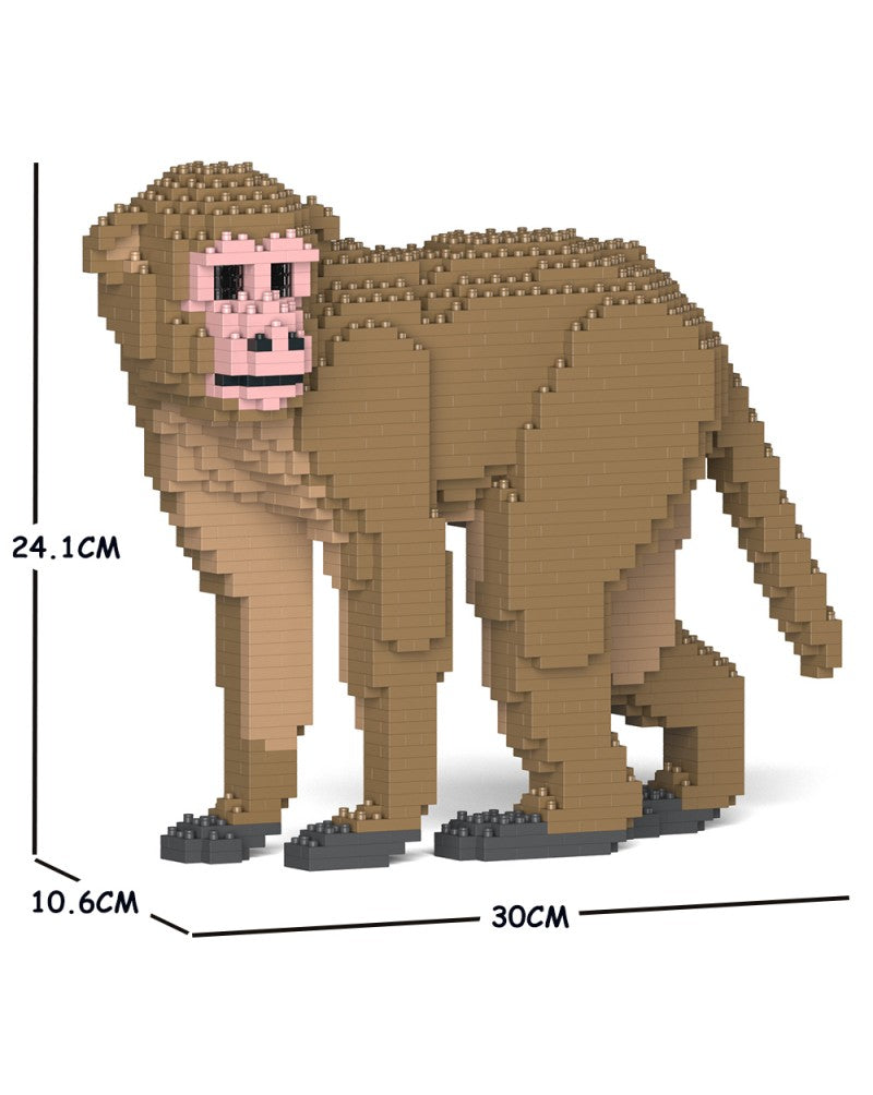 Jekca - Monkey - Small (01S) - Good Games