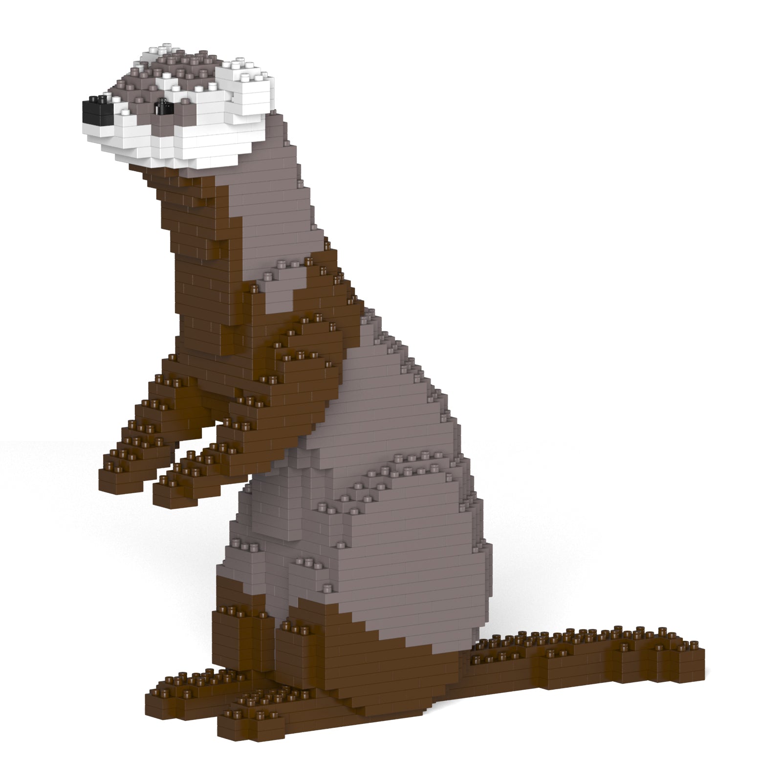 Jekca - Ferret - Small (01S) - Good Games