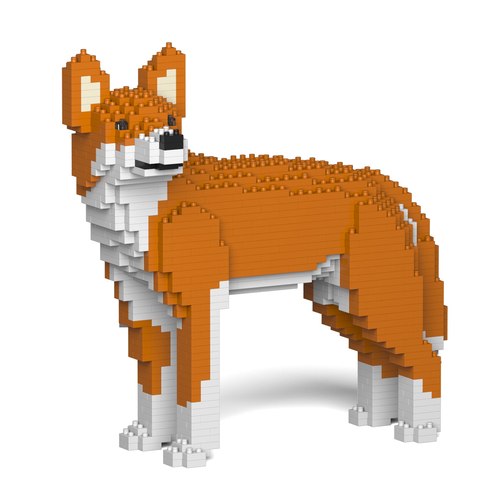 Jekca - Dingo - Small (01S) - Good Games