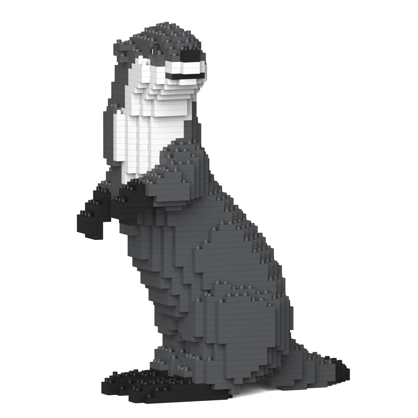 Jekca - Asian Small-clawed Otter - Small (01S) - Good Games