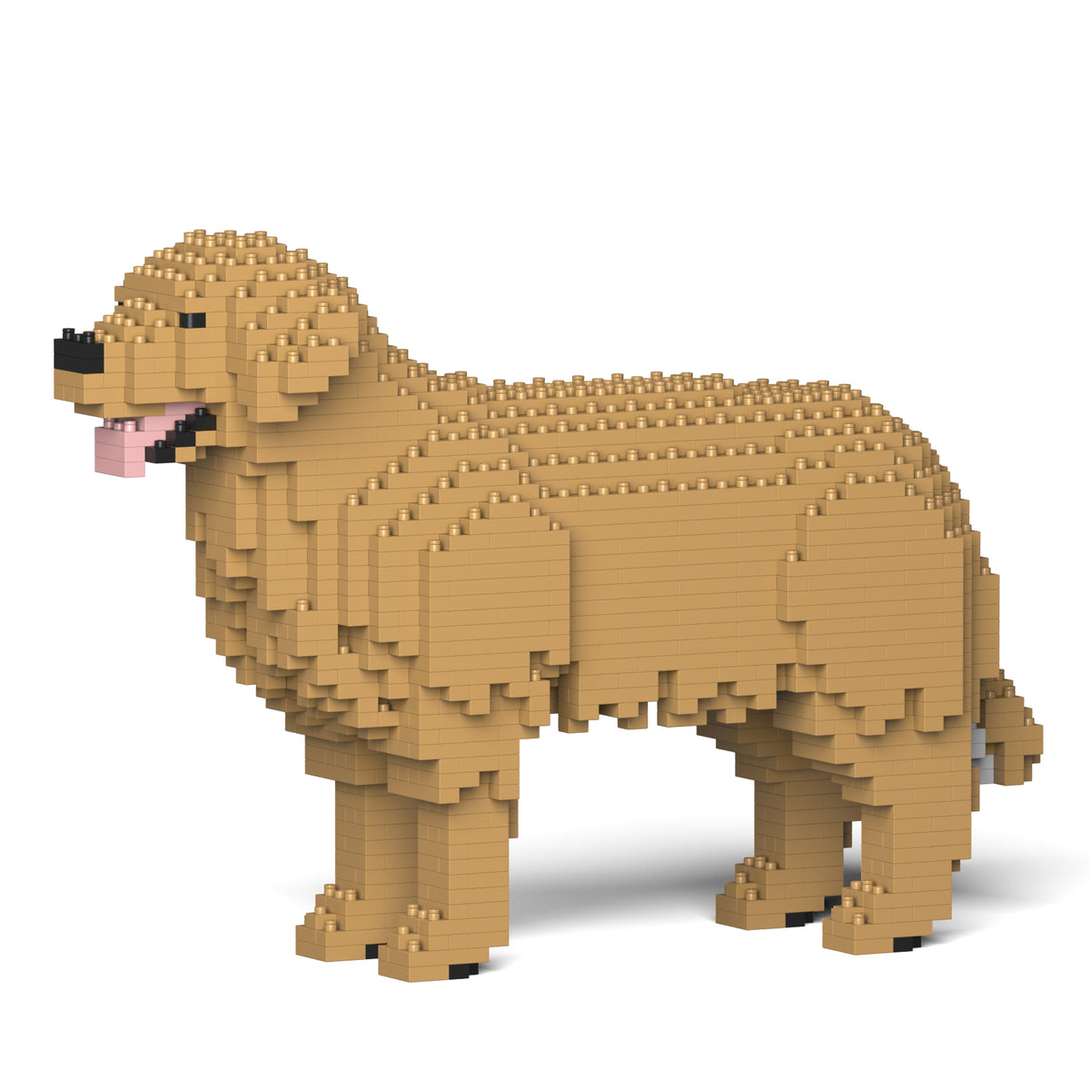 Jekca - Golden Retriever - Small (01S-M04) - Good Games