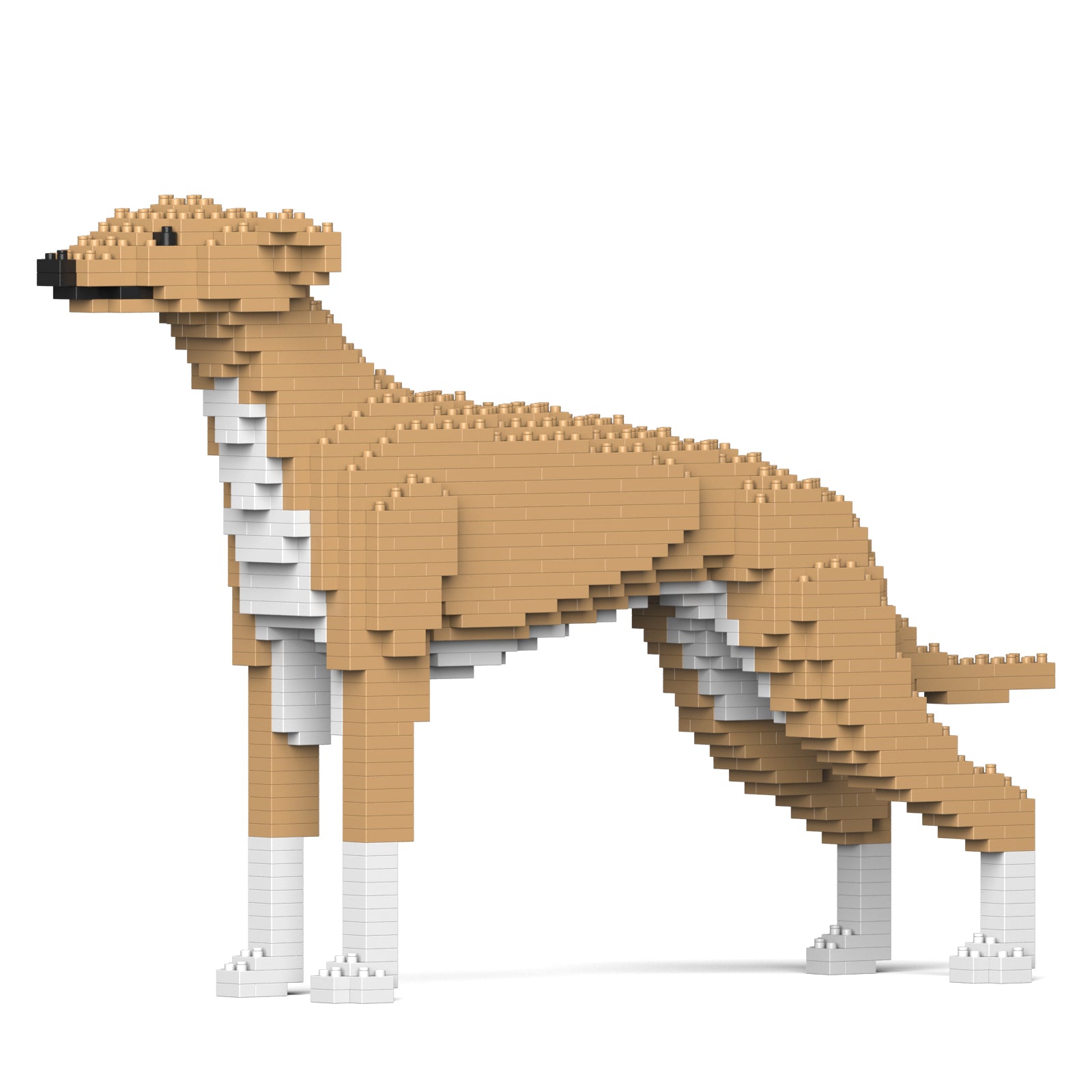 Jekca - Greyhound - Small (01S-M01) - Good Games