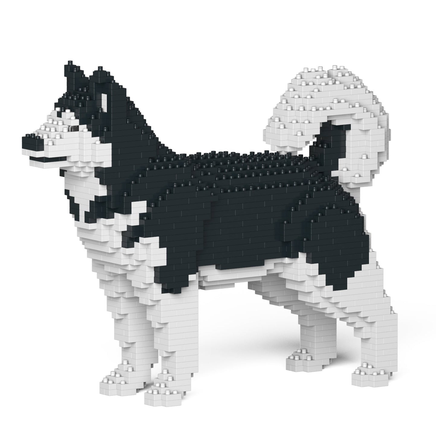 Jekca - Alaskan Malamute 01S-M01 - Good Games