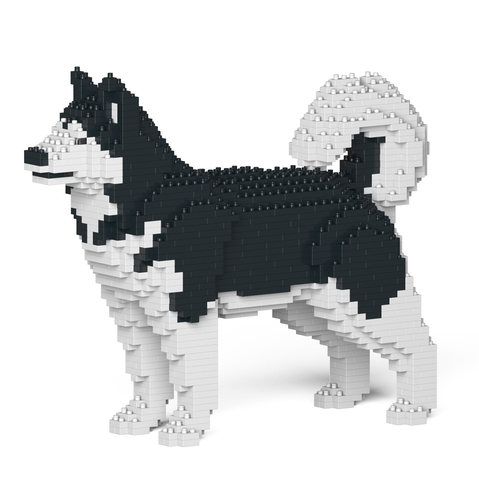 Jekca - Alaskan Malamute 01S-M01 - Good Games