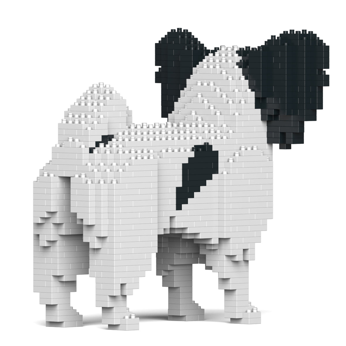 Jekca - Papillon Dog 01S-M01 - Good Games