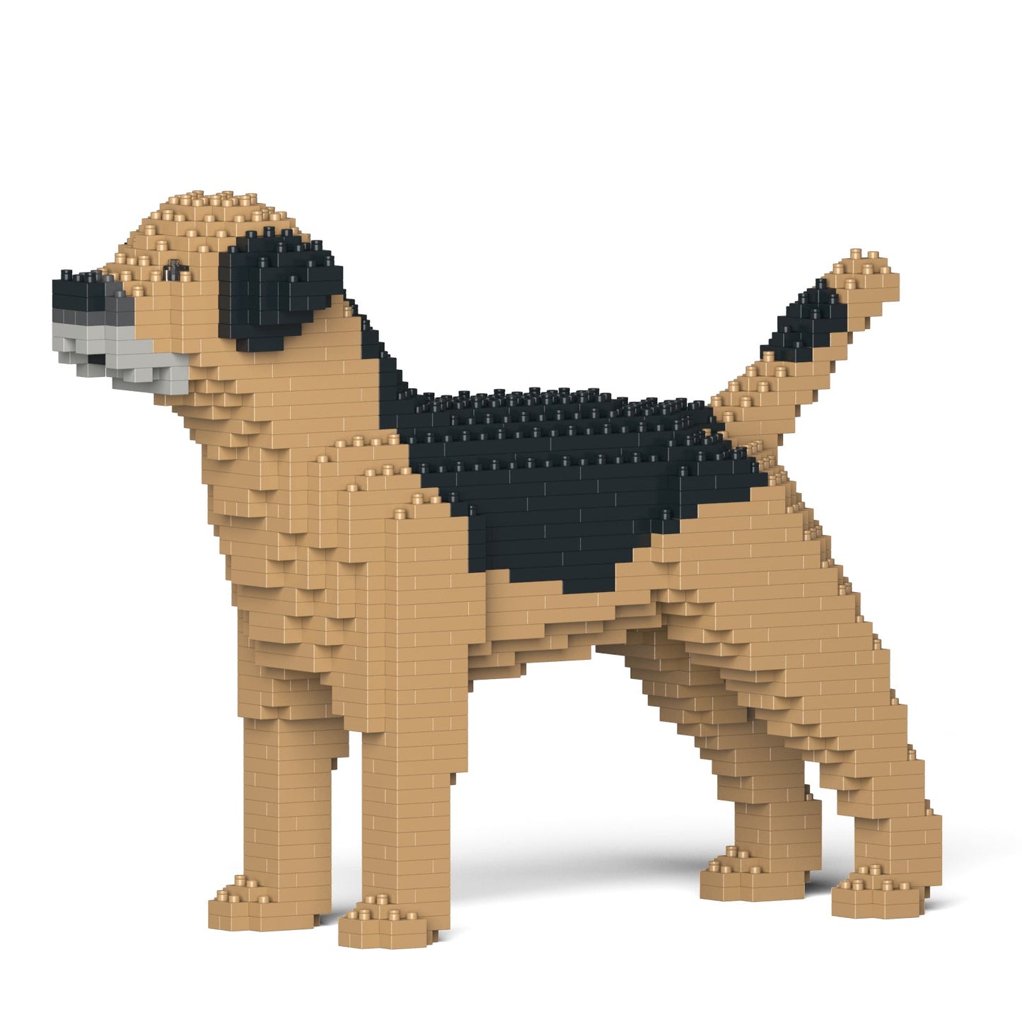 Jekca - Border Terrier 01SM01 - Good Games