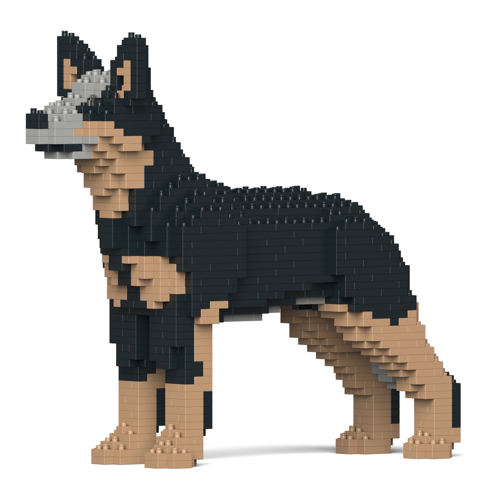 Jekca - Australian Cattle Dog - Small (01S-M01) - Good Games