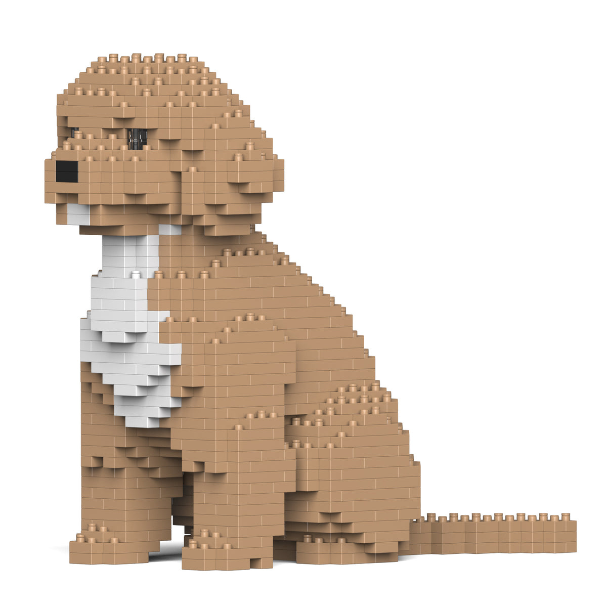 Jekca - Cockapoo - Small (01S-M01) - Good Games