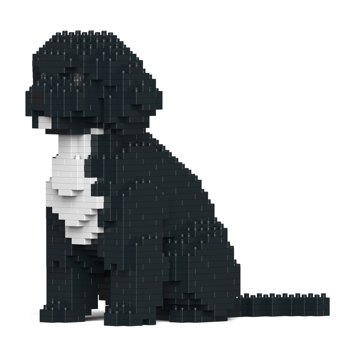 Jekca - Cockapoo - Small (01S-M03)