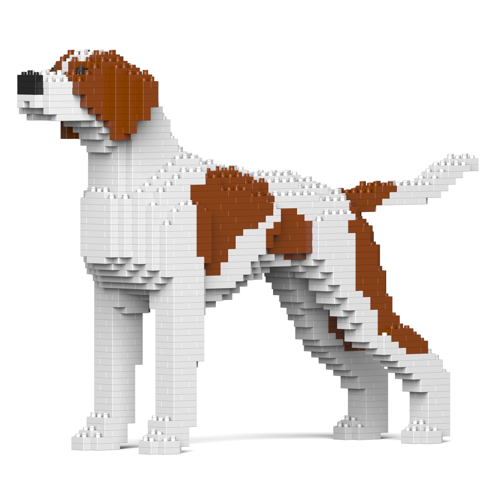 Jekca - English Pointer - Small (01S-M01) - Good Games