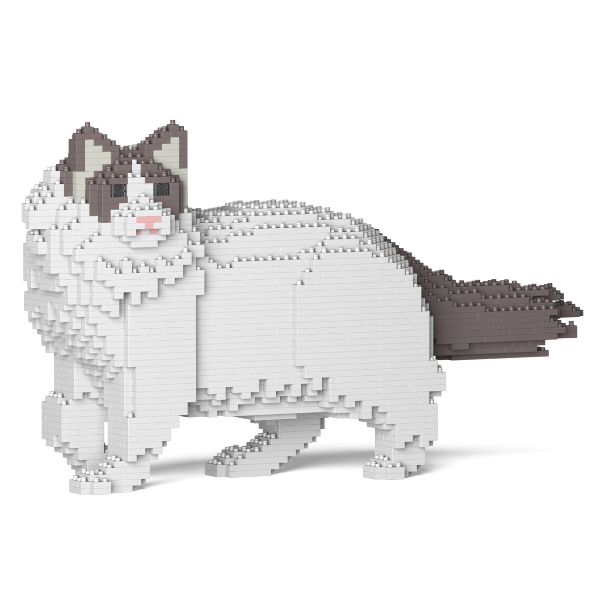 Jekca Ragdoll Cat 02S-M02