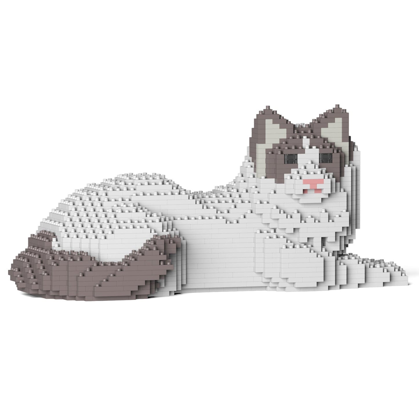Jekca - Ragdoll Cat - Small (03S-M02) - Good Games