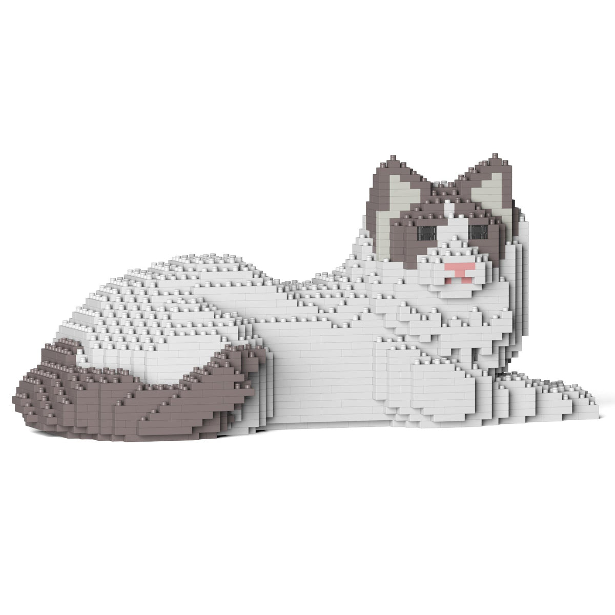 Jekca - Ragdoll Cat - Small (03S-M02) - Good Games