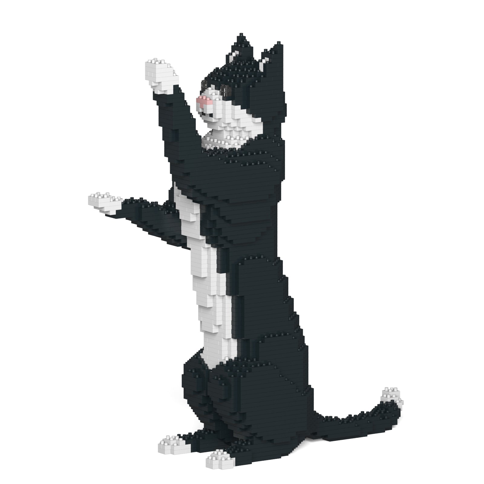 Jekca - Tuxedo Cat - Small (05S) - Good Games