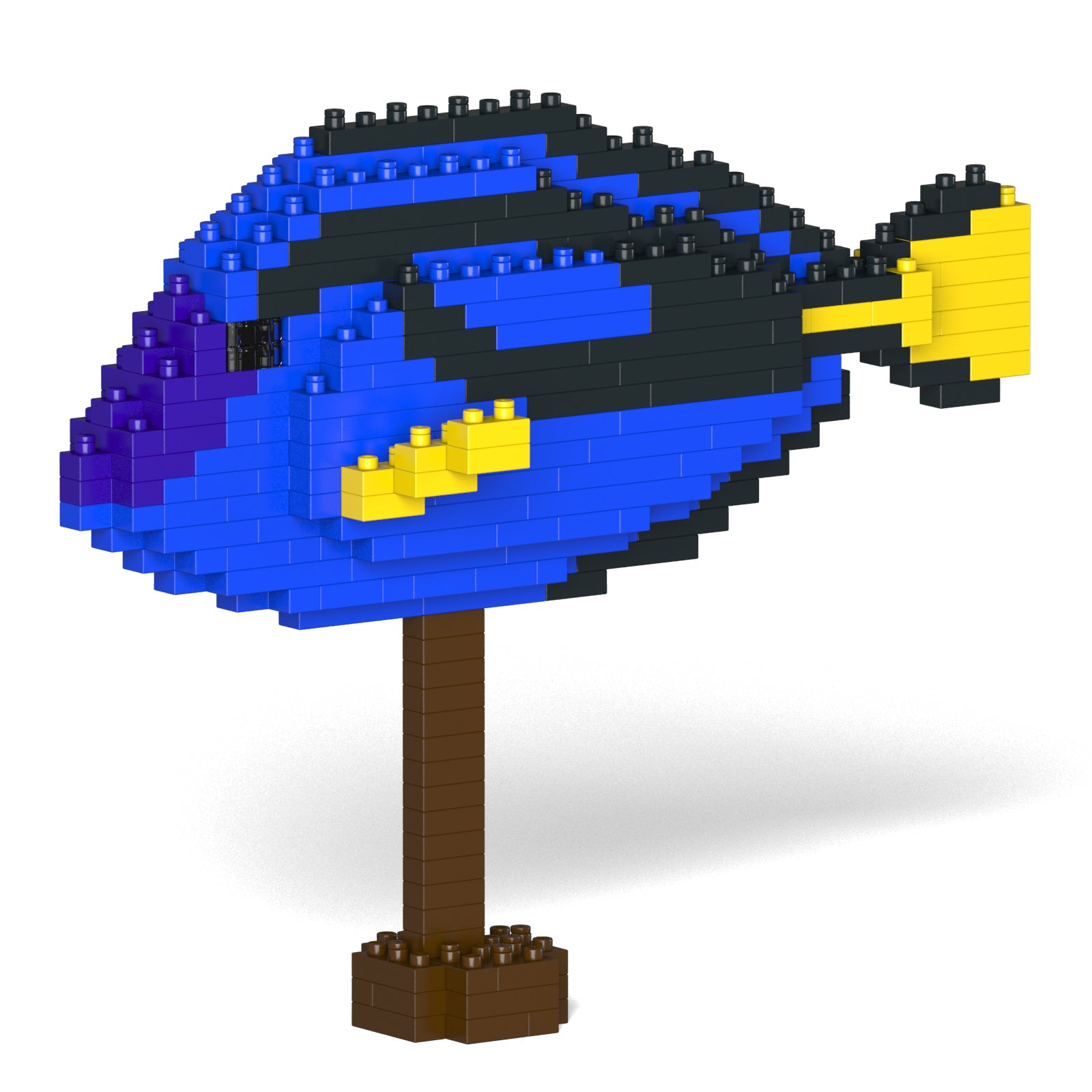 Jekca - Regal Tang - Small (01S) - Good Games