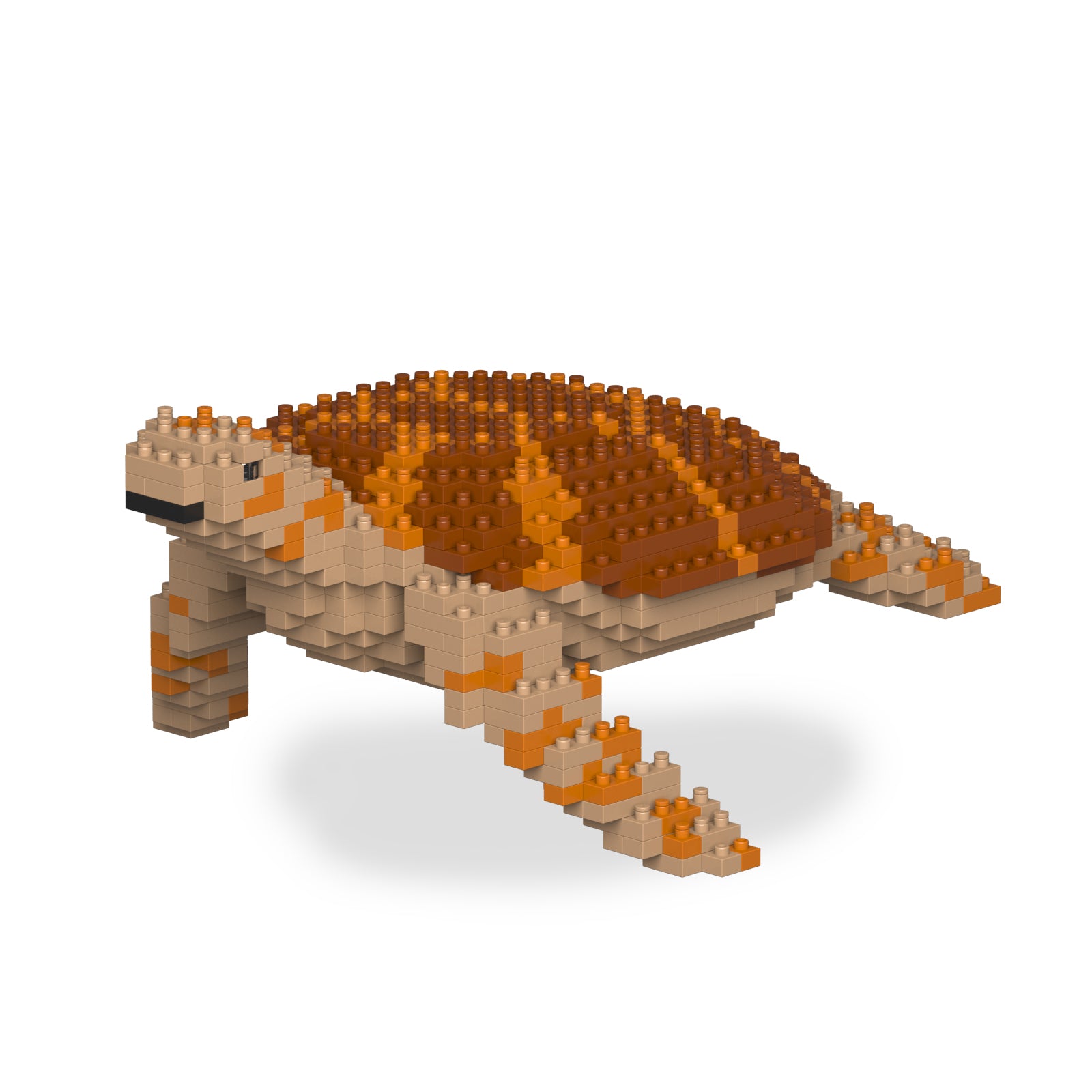 Jekca - Sea Turtle - Small (01S-M01) - Good Games