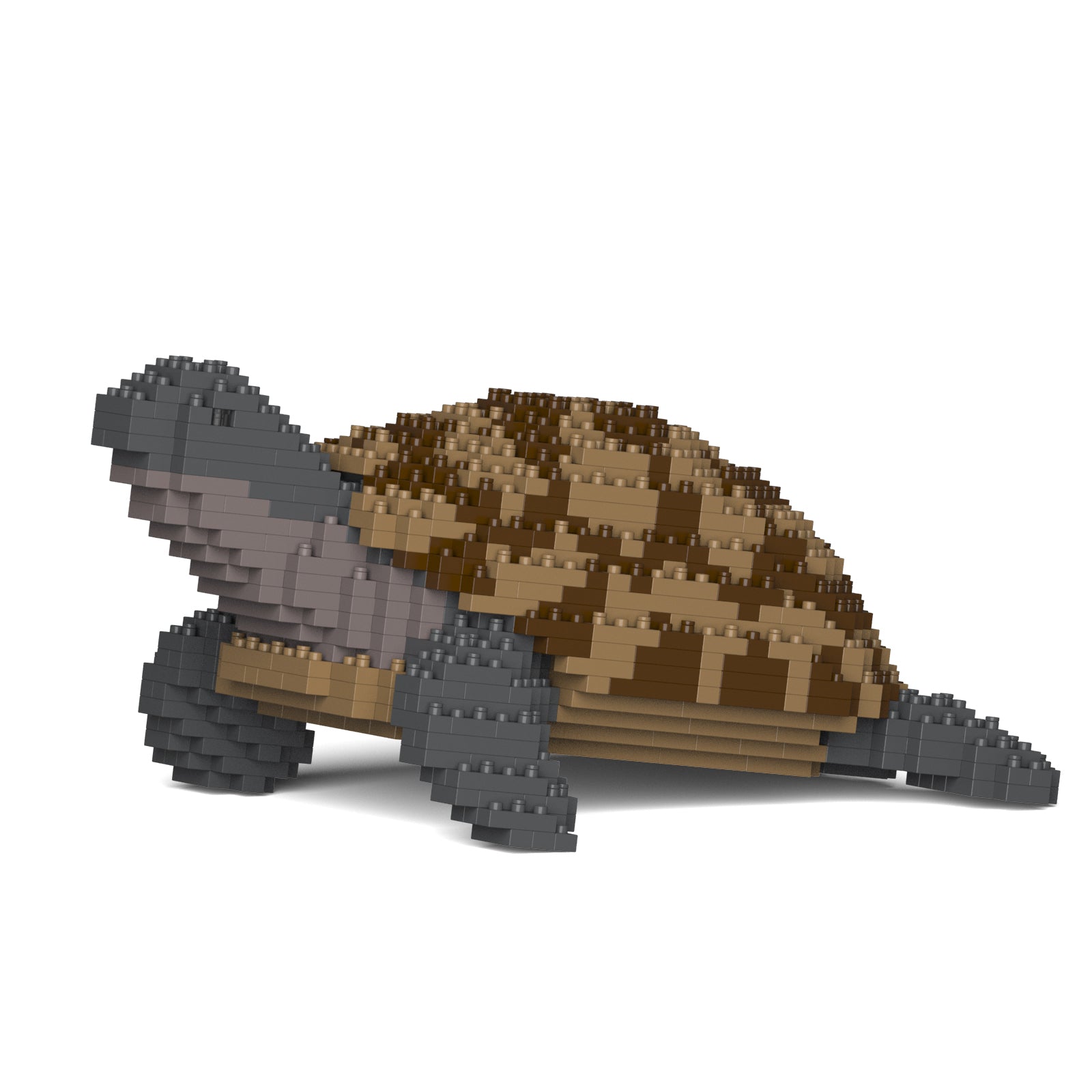 Jekca - Greek Tortoise - Small (01S) - Good Games