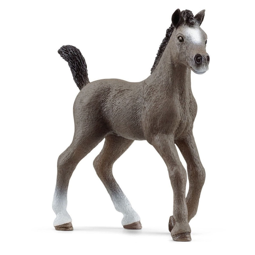Schleich - Selle Francais Foal - Good Games