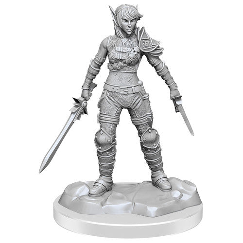 Dungeons & Dragons - Nolzurs Marvelous Miniatures Elf Rogue & Half-Elf Rogue Protege - Good Games