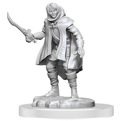 Dungeons & Dragons - Nolzurs Marvelous Miniatures Elf Rogue & Half-Elf Rogue Protege - Good Games