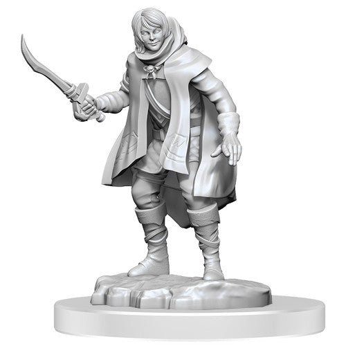 Dungeons &amp; Dragons - Nolzurs Marvelous Miniatures Elf Rogue &amp; Half-Elf Rogue Protege