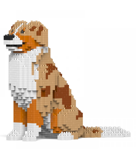 Jekca - Australian Shepherd 01SM02