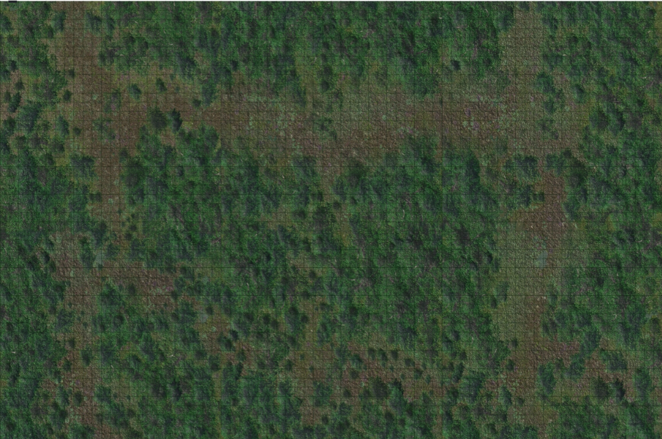 Dungeons & Dragons - Icons of the Realms - Forest Battle Mat - Good Games