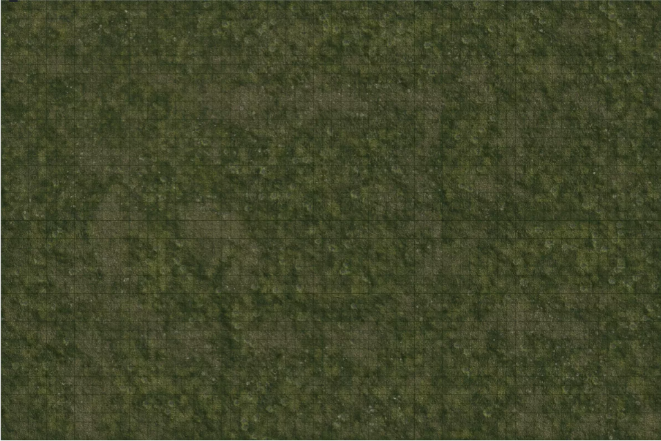 Dungeons & Dragons - Icons of the Realms - Grasslands Battle Mat - Good Games