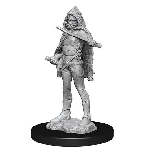 Dungeons & Dragons - Nolzurs Marvelous Unpainted Miniatures Darkling Elder & Darklings - Good Games