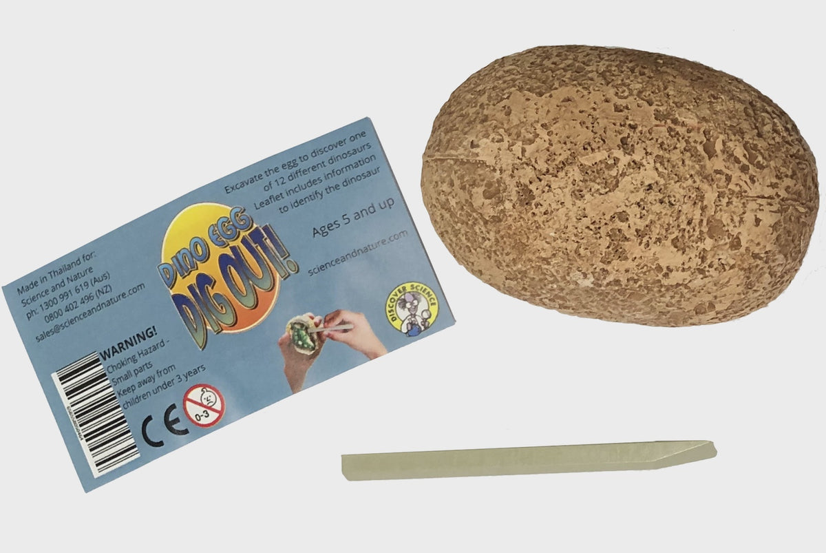Dino Egg Dig Out