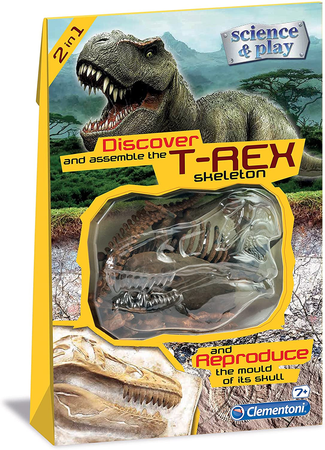 Clementoni - Discover T-rex Skeleton - Good Games