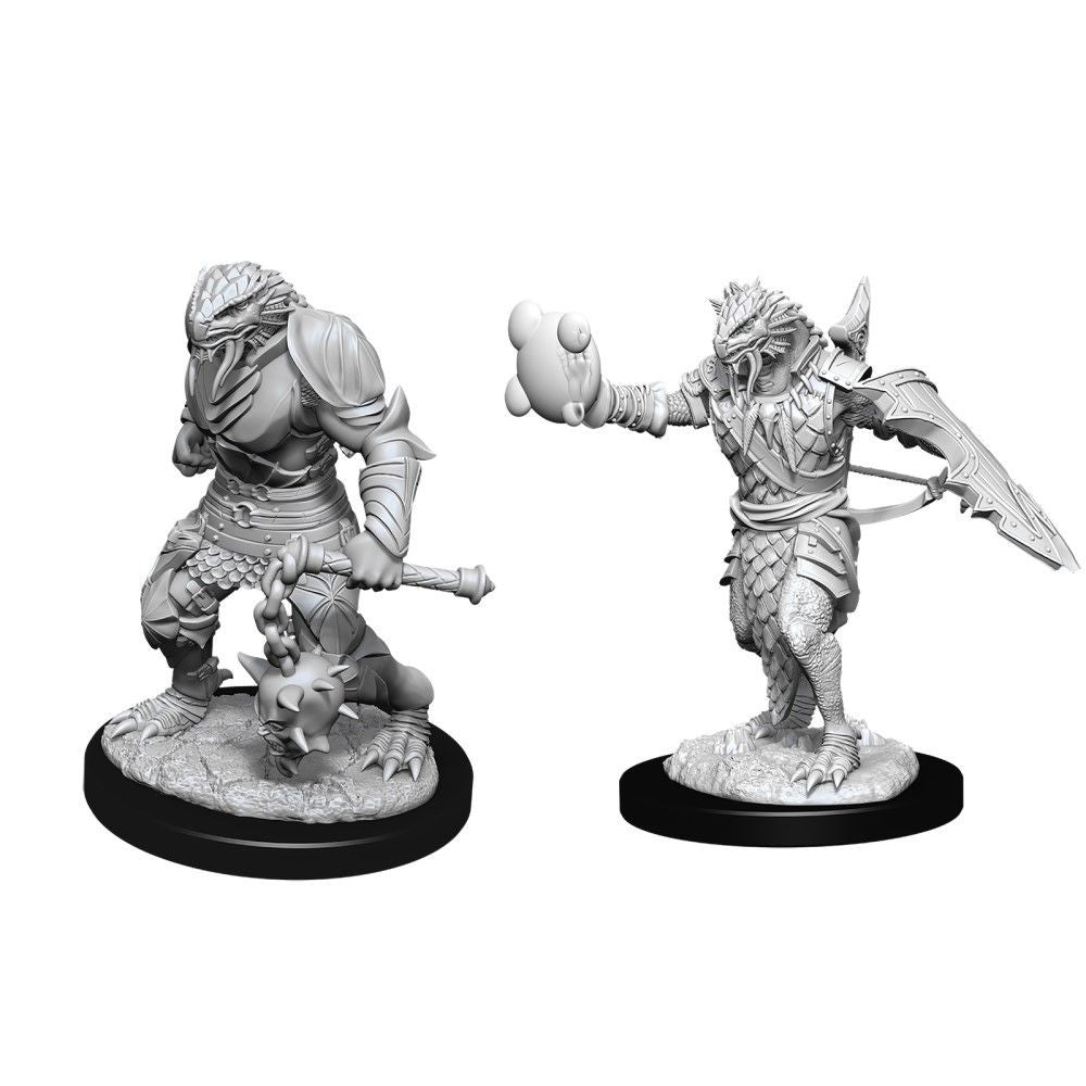 Dungeons & Dragons - Nolzurs Marvelous Unpainted Miniatures Male Dragonborn Paladin