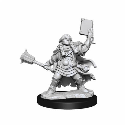 Dungeons & Dragons Frameworks Dwarf Cleric Female - Good Games
