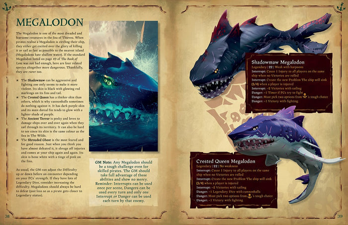 Sea of Thieves RPG: A Tale of Two Captains