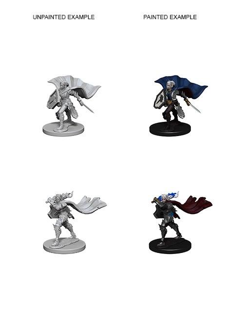 Pathfinder Deep Cuts Unpainted Minis Elf Female Paladin - Good Games
