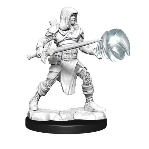 Dungeons & Dragons - Nolzurs Marvelous Unpainted Miniatures Male Multiclass Fighter + Wizard - Good Games