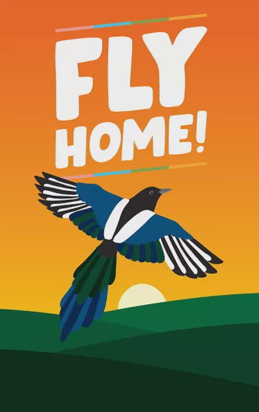 Fly Home