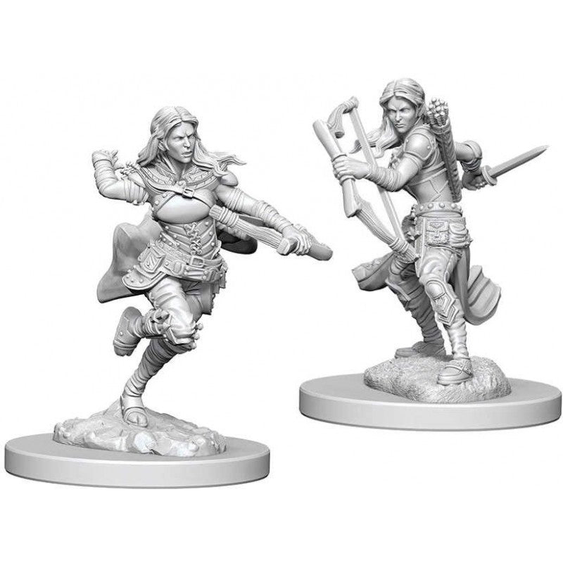 Dungeons & Dragons - Nolzurs Marvelous Unpainted Miniatures Air Genasi Female Rogue - Good Games