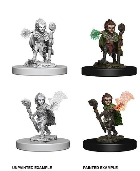 Pathfinder Deep Cuts Unpainted Miniatures Gnome Male Druid - Good Games