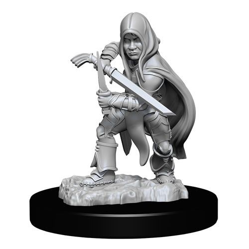 Dungeons & Dragons - Nolzurs Marvelous Unpainted Miniatures Halfling Male Rogue - Good Games