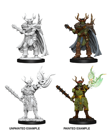 Pathfinder Deep Cuts Male Half-Orc Druid - Good Games