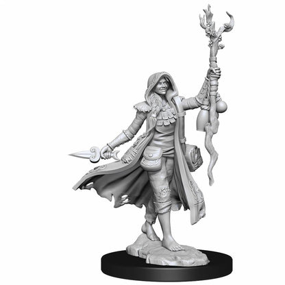 Dungeons & Dragons Frameworks Human Druid Female - Good Games
