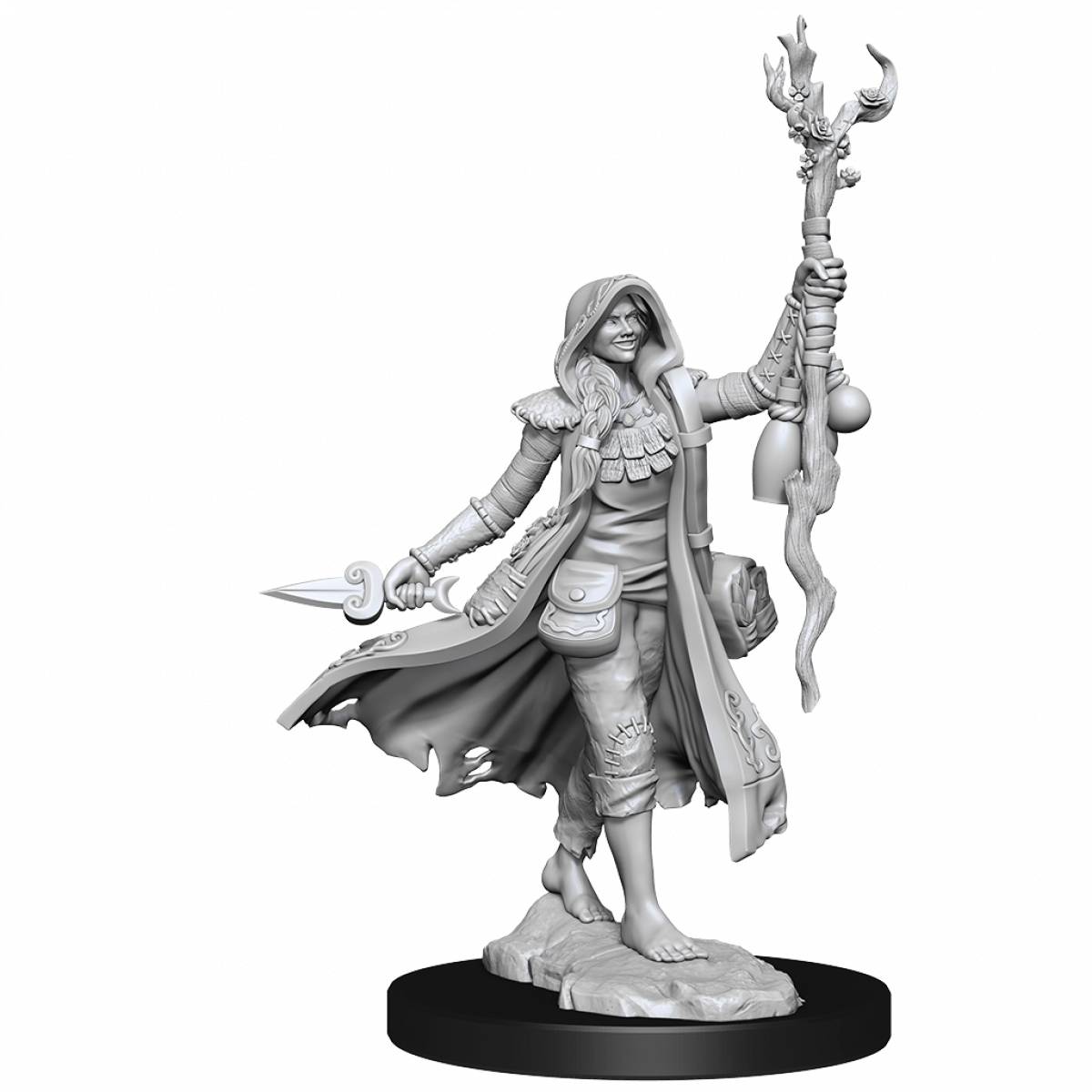 Dungeons &amp; Dragons Frameworks Human Druid Female