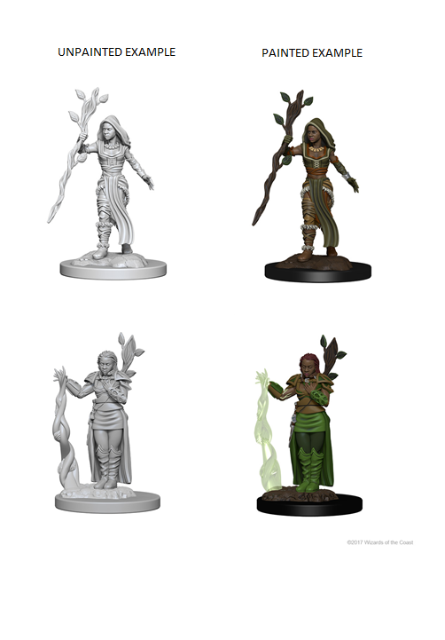 Dungeons & Dragons - Nolzurs Marvelous Unpainted Miniatures Human Female Druid - Good Games